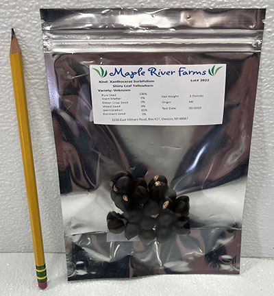 10 Seed/Nut Bag