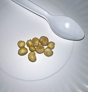 Roasted Nuts
